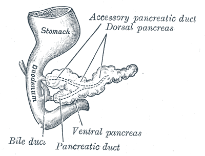 Pancreas Surgeon in Dubai
